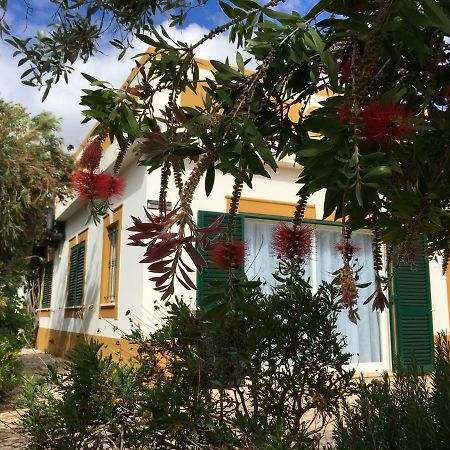 Casa Guerreiro Lägenhet Lagos Exteriör bild