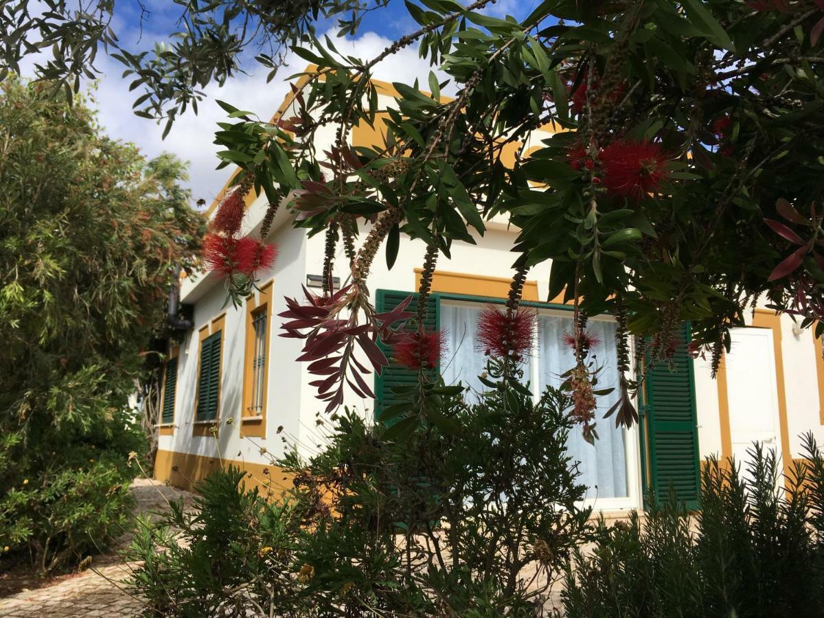 Casa Guerreiro Lägenhet Lagos Exteriör bild